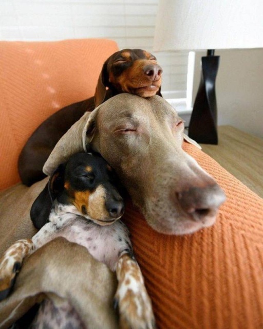 Acid Picdump (92 pics)