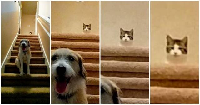Acid Picdump (92 pics)