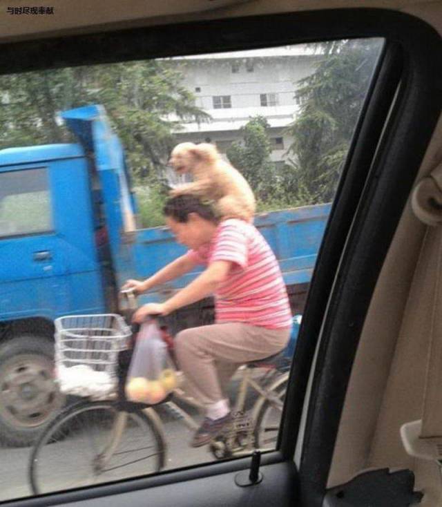 Acid Picdump (92 pics)
