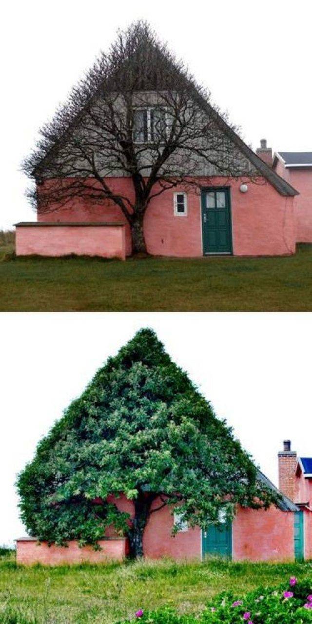 Acid Picdump (92 pics)
