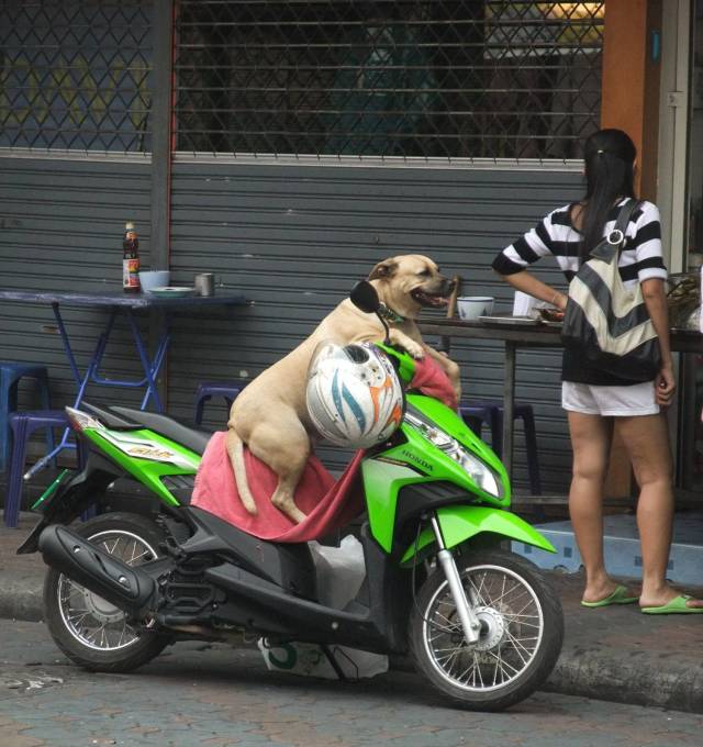 Acid Picdump (92 pics)