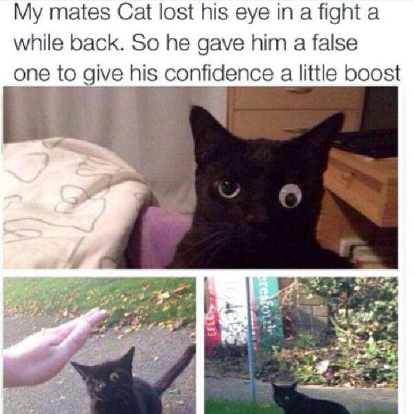 Just Weird (29 pics)