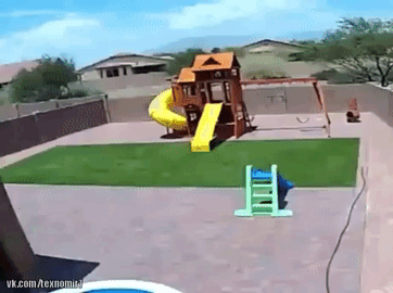 Acid Gifdump, August 10, 2018 (25 gifs)