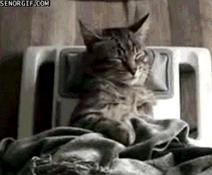 Acid Gifdump, August 10, 2018 (25 gifs)