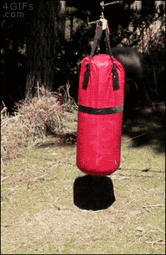 Acid Gifdump, August 10, 2018 (25 gifs)