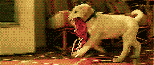 Acid Gifdump, August 10, 2018 (25 gifs)