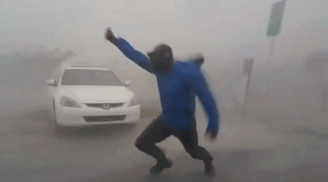 Acid Gifdump, August 10, 2018 (25 gifs)