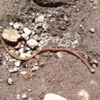 Acid Gifdump, August 10, 2018 (25 gifs)