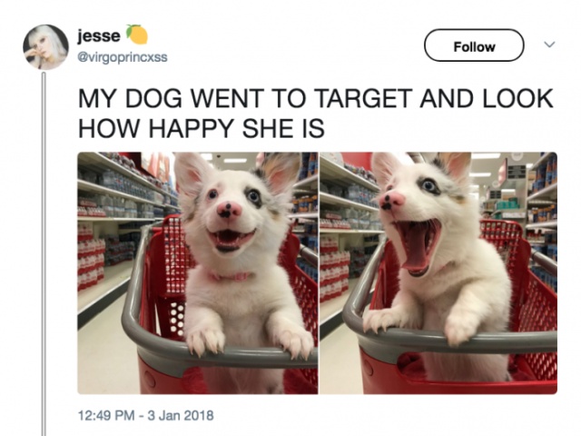 Target Tweets (25 pics)