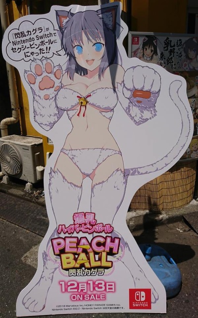 A Nice Place In Japan (11 pics)