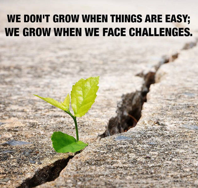 Your Daily Dose Of Motivation (30 pics)