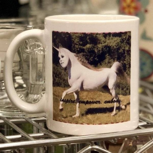 Things From Thrift Shops (60 pics)