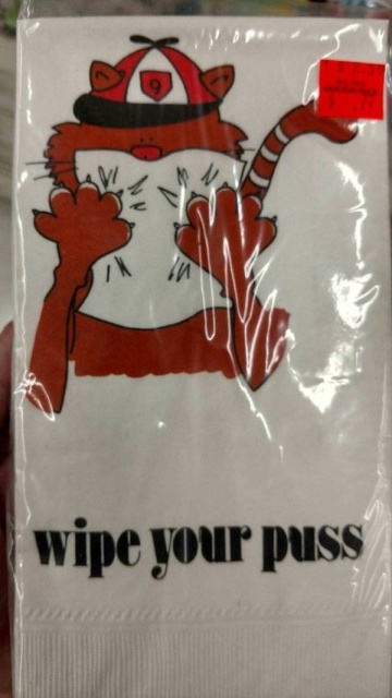 Things From Thrift Shops (60 pics)
