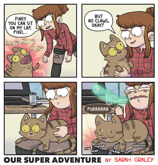 Life With Your Fiancé And Four Cats Simply Has To Be Entertaining (40 pics)