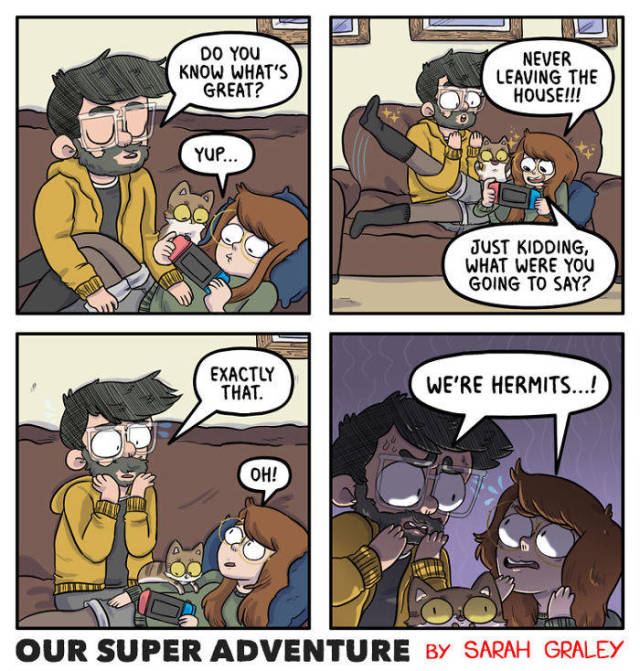Life With Your Fiancé And Four Cats Simply Has To Be Entertaining (40 pics)