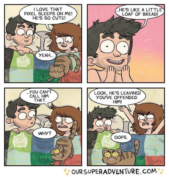 Life With Your Fiancé And Four Cats Simply Has To Be Entertaining (40 pics)