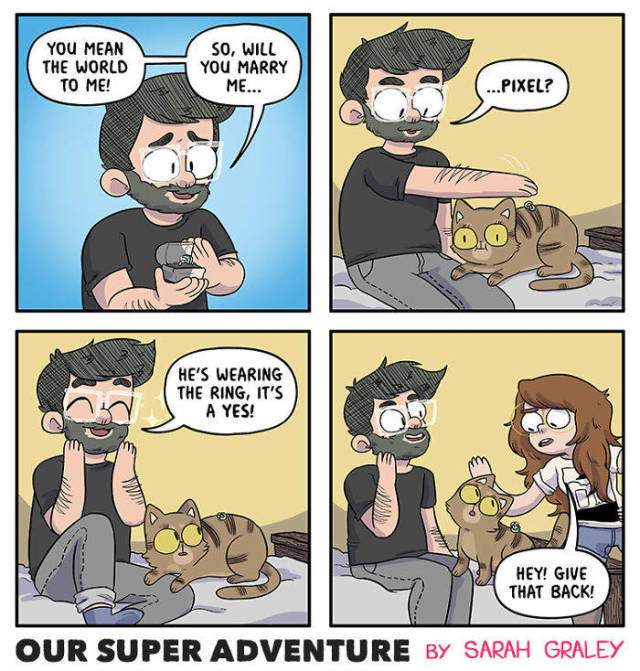 Life With Your Fiancé And Four Cats Simply Has To Be Entertaining (40 pics)