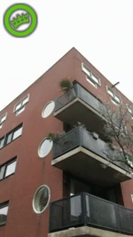 Satisfying GIFs (19 gifs)