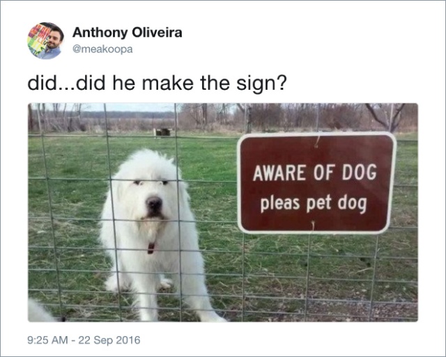 Funny Dog Tweets (20 pics)