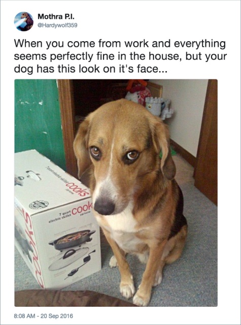 Funny Dog Tweets (20 pics)