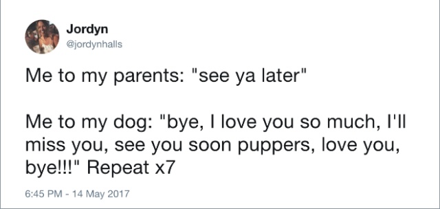 Funny Dog Tweets (20 pics)