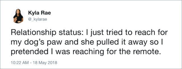 Funny Dog Tweets (20 pics)