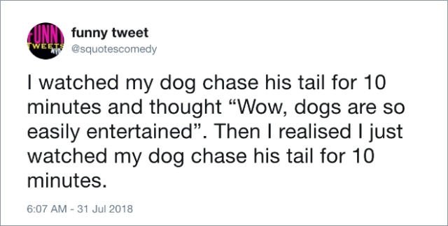 Funny Dog Tweets (20 pics)