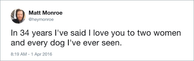 Funny Dog Tweets (20 pics)