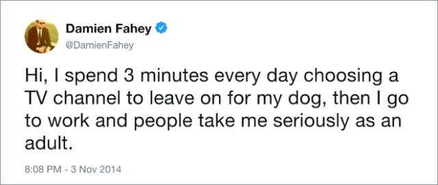 Funny Dog Tweets (20 pics)