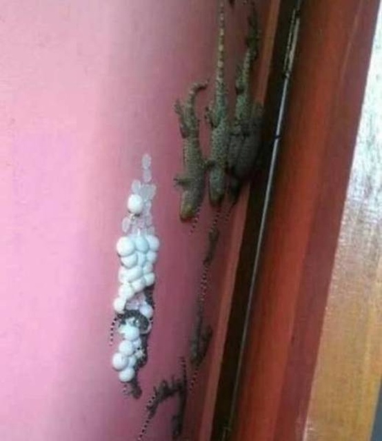 Nope! (27 pics)