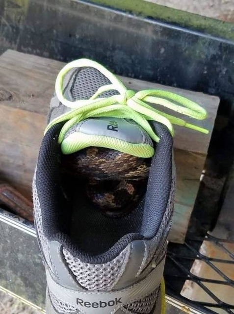 Nope! (27 pics)