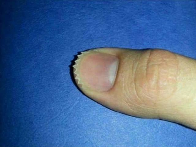 Nope! (27 pics)
