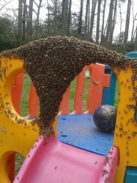Nope! (27 pics)