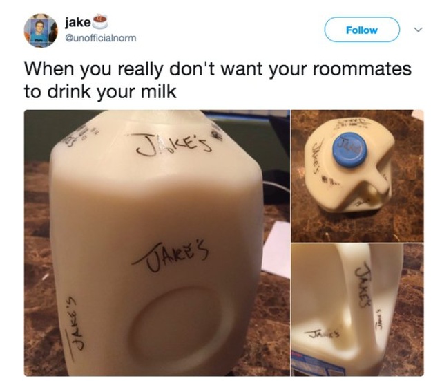 Bad Roommates (17 pics)