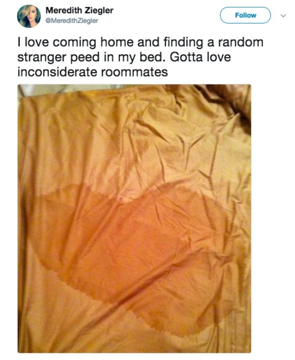 Bad Roommates (17 pics)