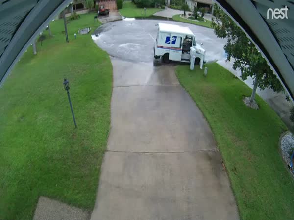 Family With Stolen Amazon Packages Discovers The Culprit