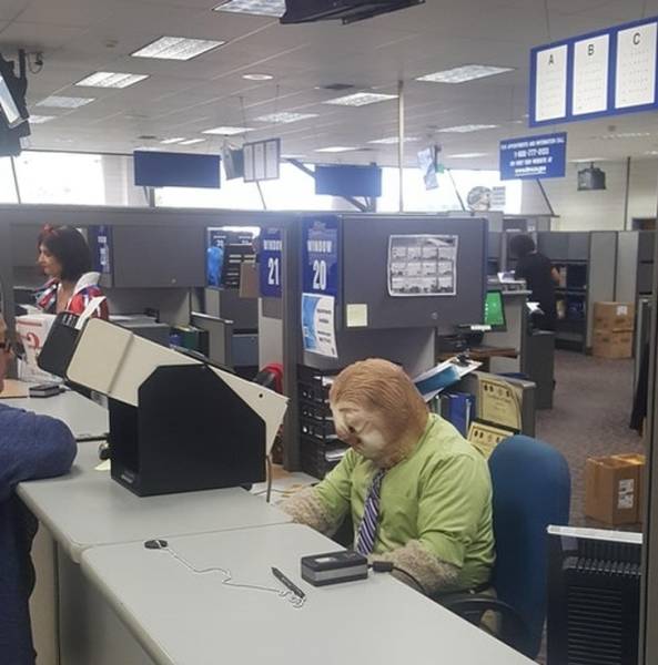 Job LOLs And Fails (40 pics)