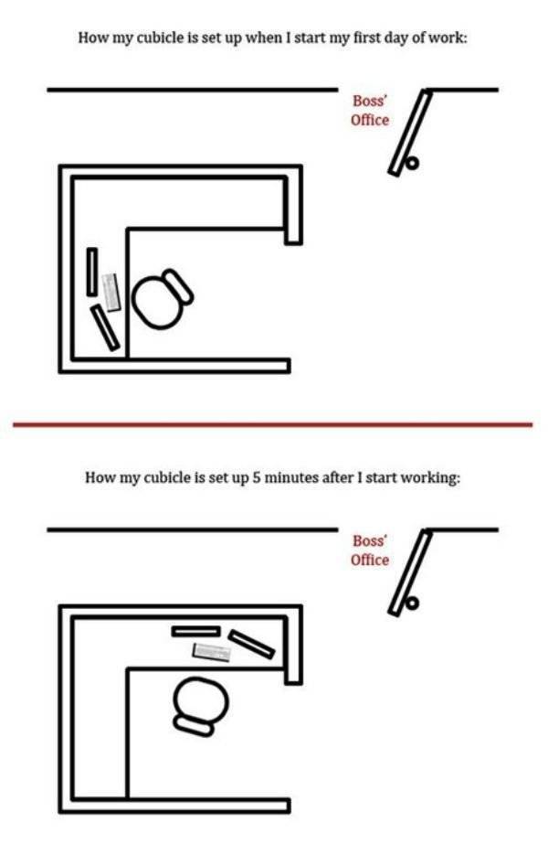 Job LOLs And Fails (40 pics)