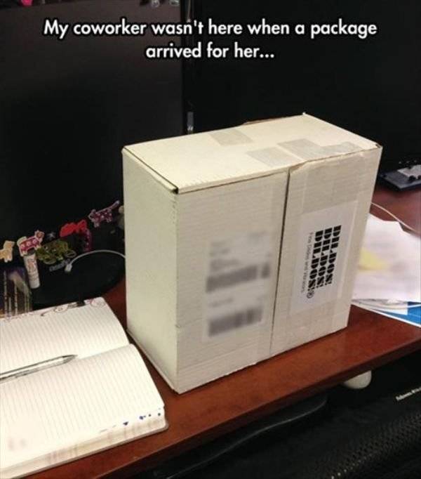 Job LOLs And Fails (40 pics)