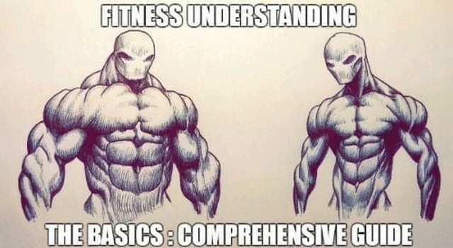 Work Out Basics & Efficiency (14 pics)