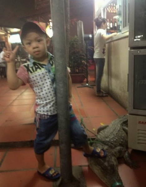 Only In Asia (39 pics)
