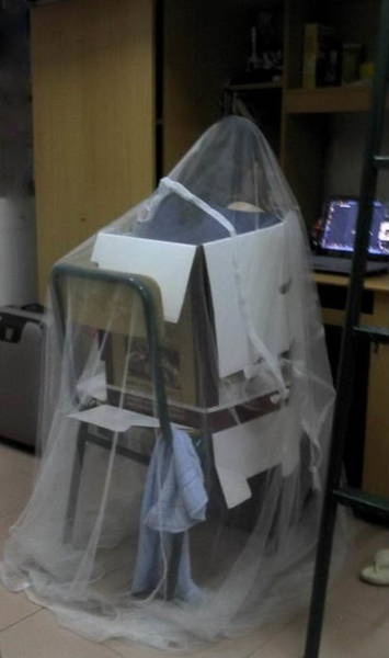 Only In Asia (39 pics)