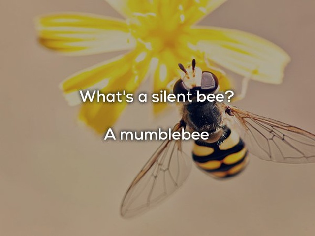 Dad Jokes (20 pics)