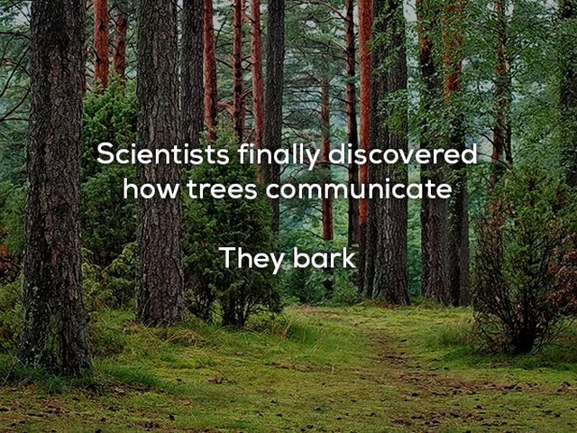 Dad Jokes (20 pics)