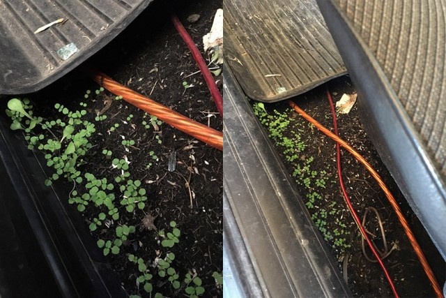Car Service Horror Show (24 pics)
