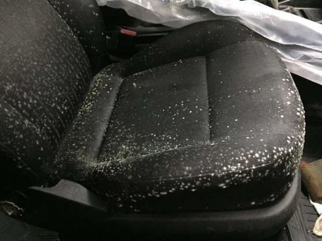 Car Service Horror Show (24 pics)