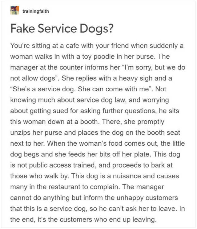 Service Dog Trainer Talks About Why Fake Service Dogs Are A Real Problem (9 pics)