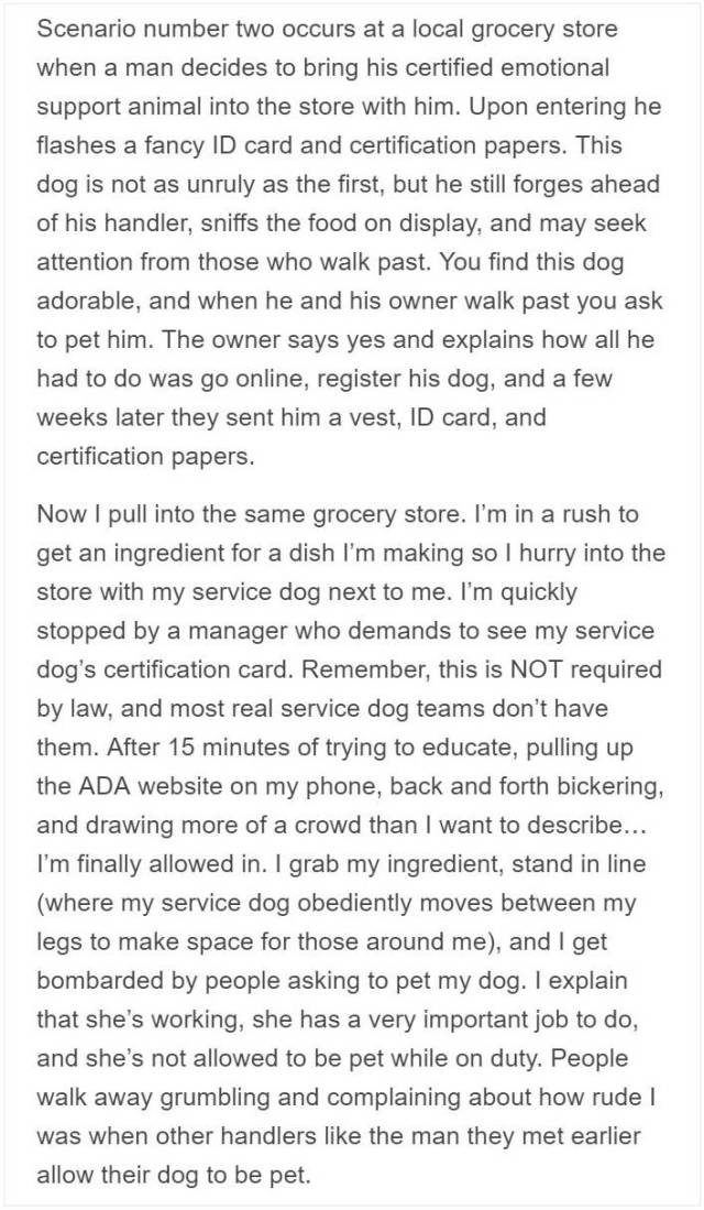 Service Dog Trainer Talks About Why Fake Service Dogs Are A Real Problem (9 pics)