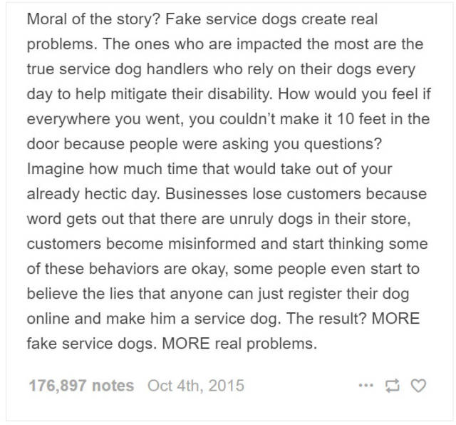 Service Dog Trainer Talks About Why Fake Service Dogs Are A Real Problem (9 pics)