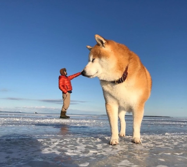 Let's See The World From Another Angle (30 pics)